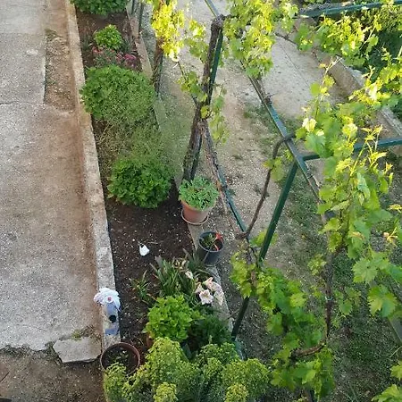 Apartament Neda *