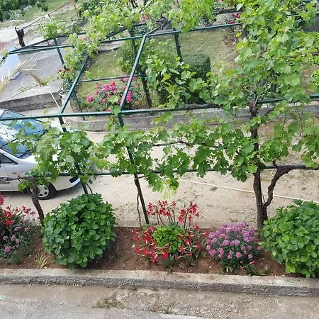 Apartament Neda Galovac (Zadar)
